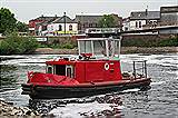 Grebe (May 2008)