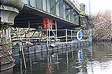 Floats at Newlay (March 2010)